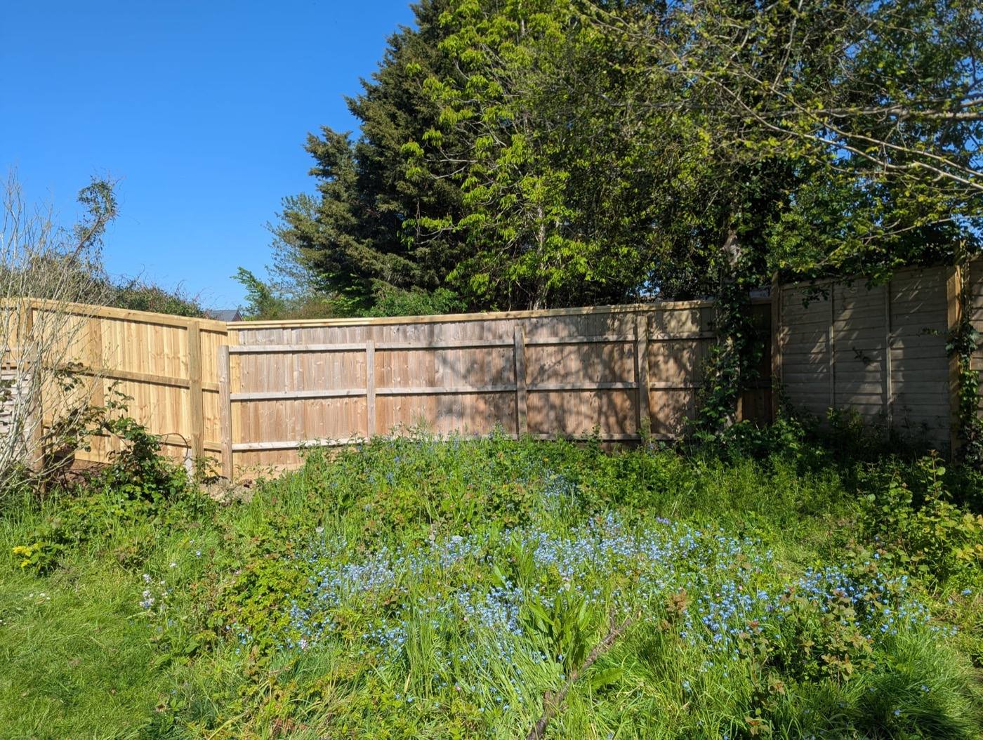 Vegetation Clearance & New Closeboard Fence