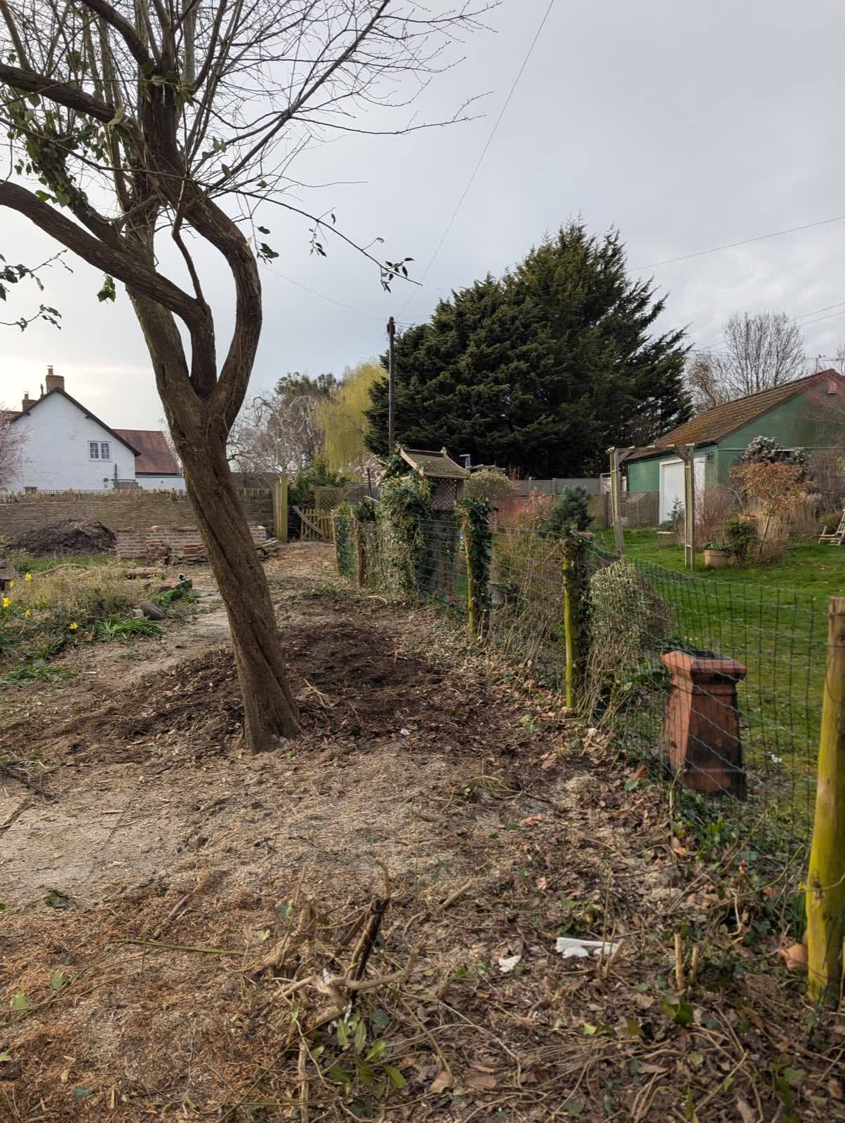 Garden Clearance