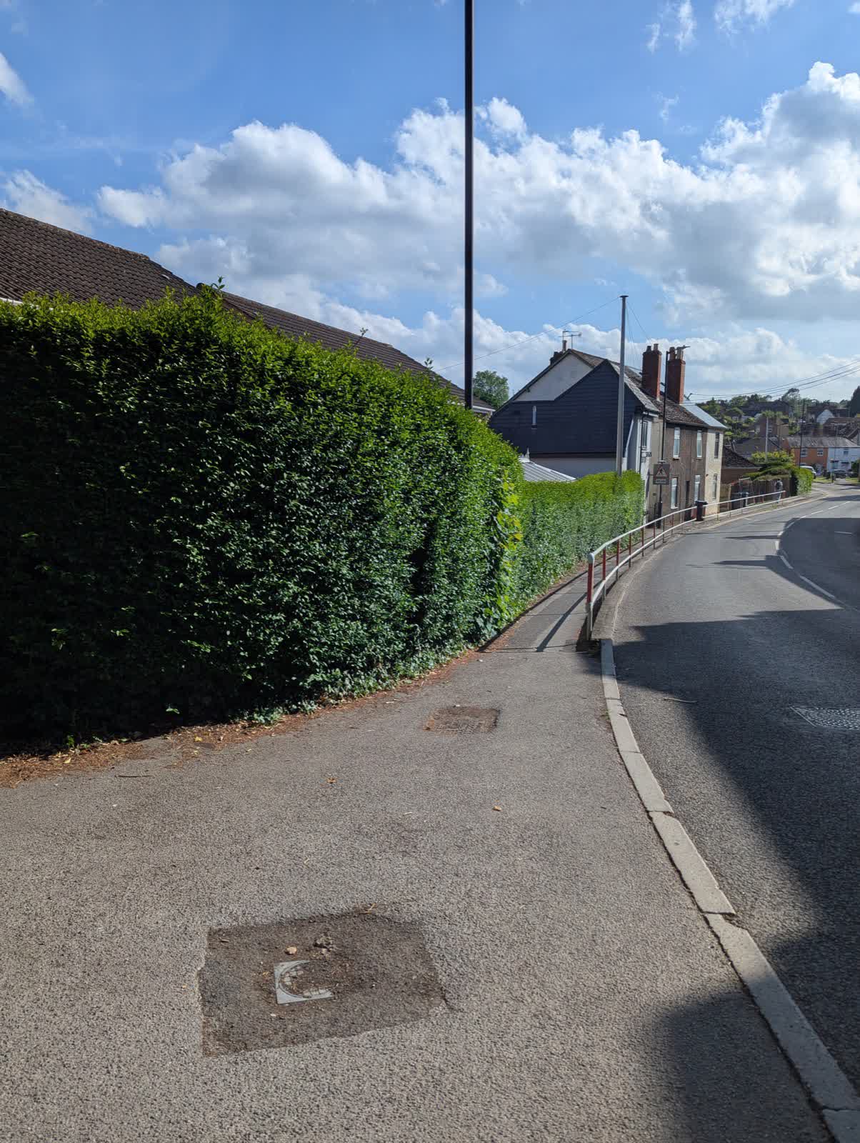 Hedge Trimming