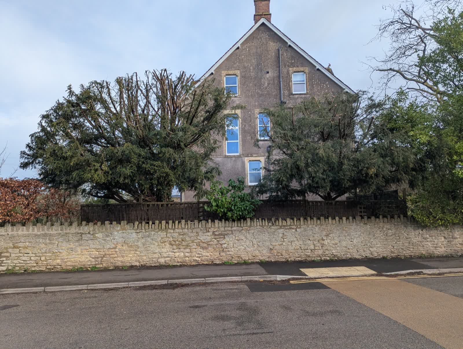 Yew Tree Reduction